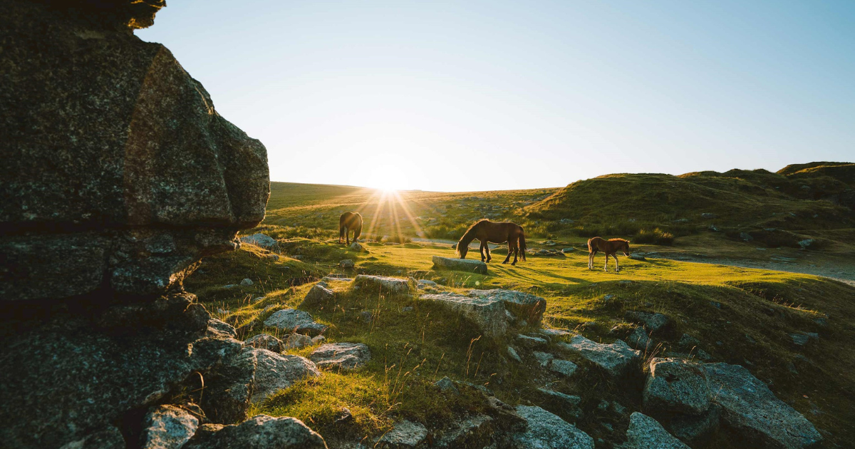 6 Day Devon and Cornwall Tour