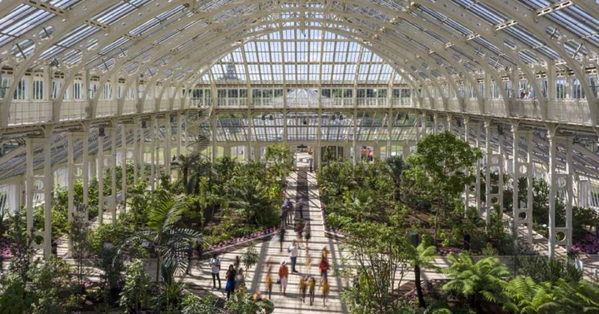 Kew Gardens and Kew Palace Experience