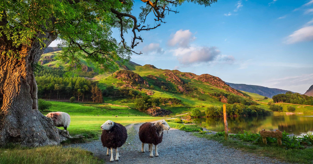 8 day - Britain and Ireland Tour