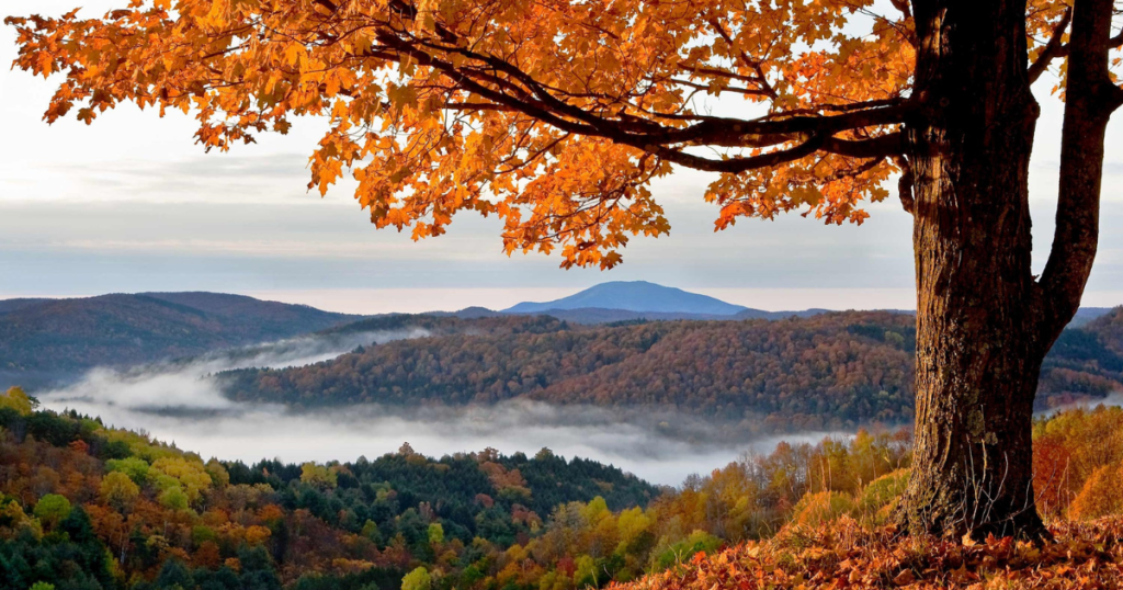 10 Day Autumn Colours of USA, Boston, Portsmouth and Cape Cod