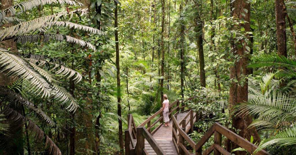 10 Day Tour of Australia with Sydney, Uluru and Cairns