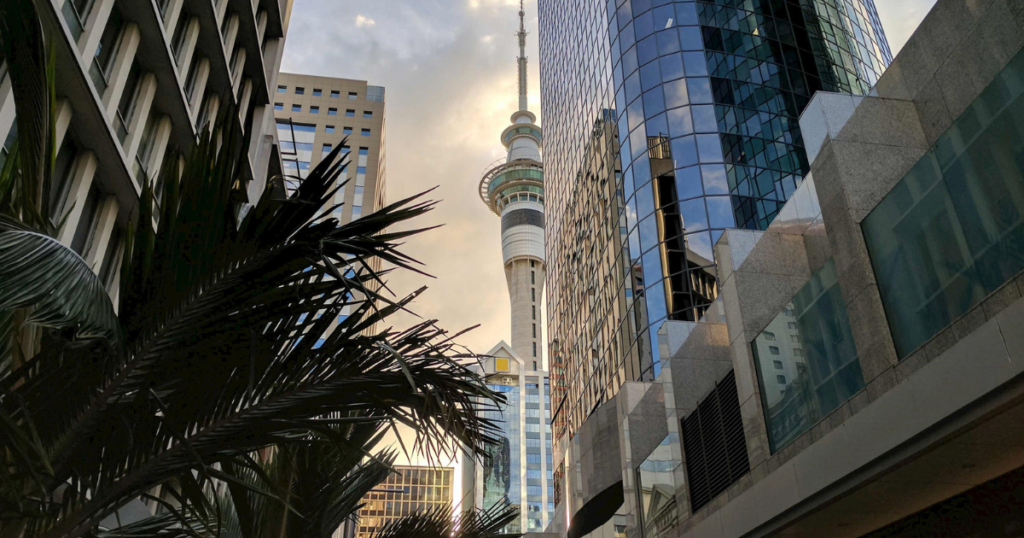 7 Day Tour of New Zealand's North Island, Auckland, Rotorua and Wellington