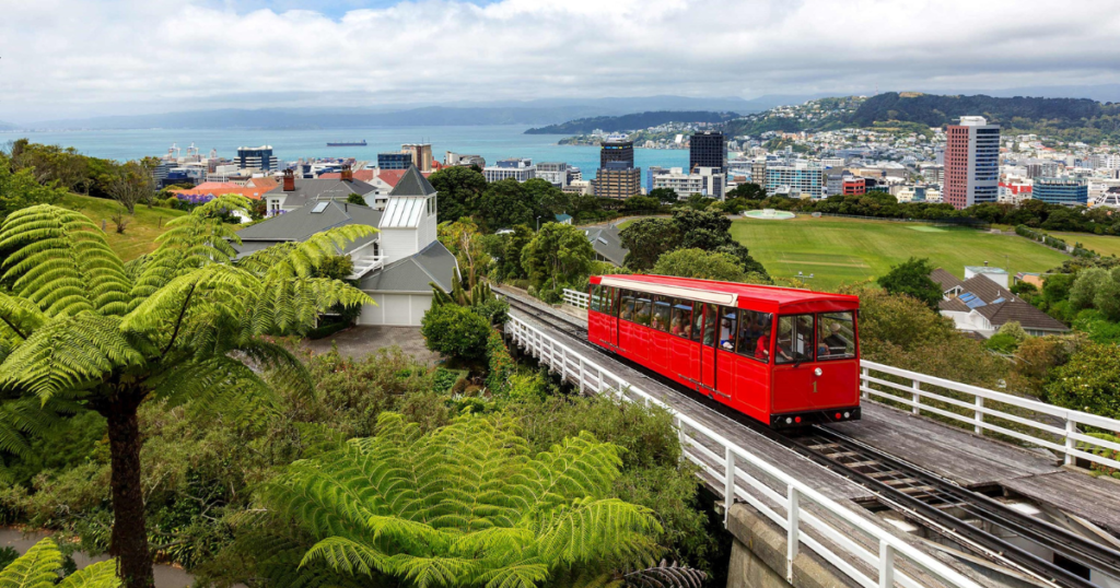7 Day Tour of New Zealand's North Island, Auckland, Rotorua and Wellington