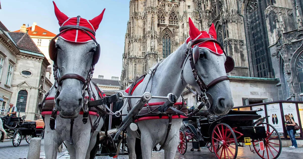 Vienna