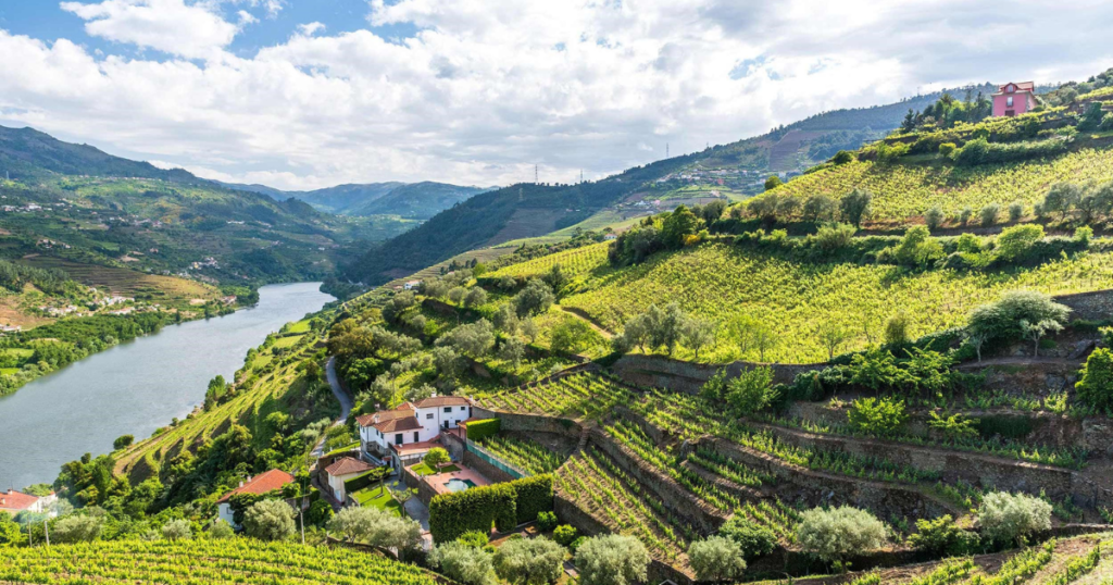 Douro Valley