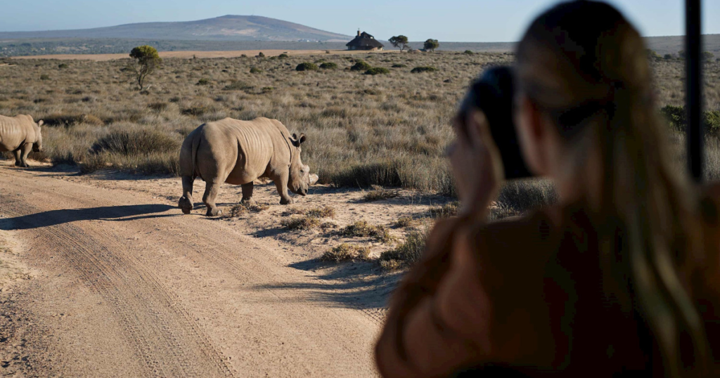 Safari - Mabula Game Reserve