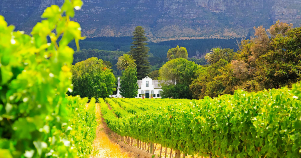 Cape Town