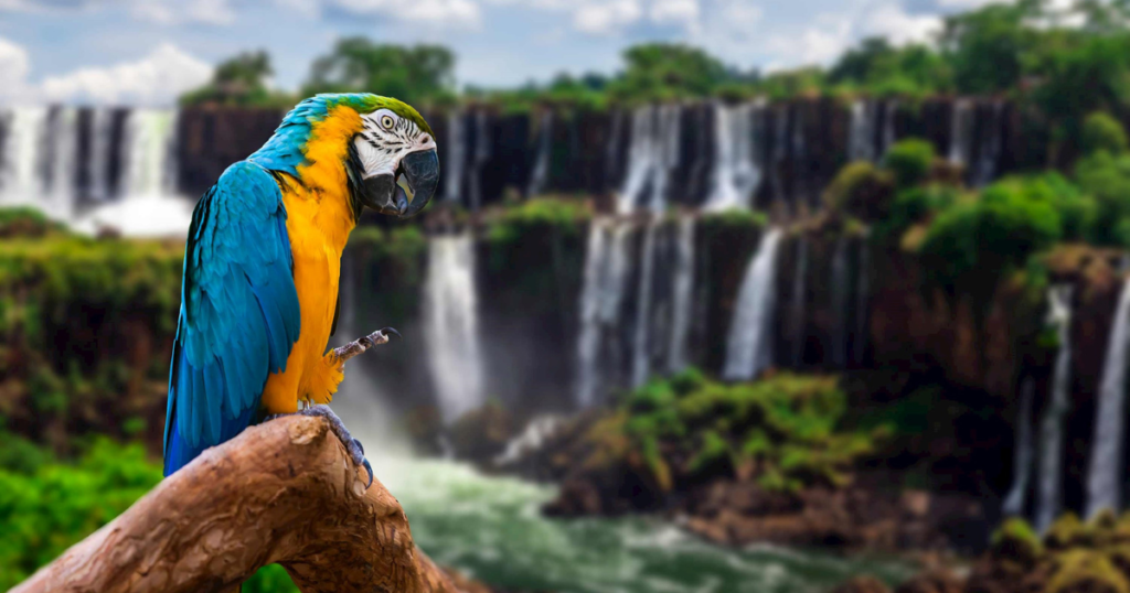Iguazu Falls, Brazil