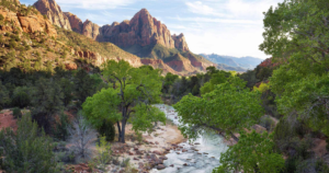 Zion National Park