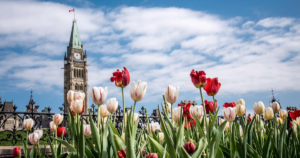 Ottawa
