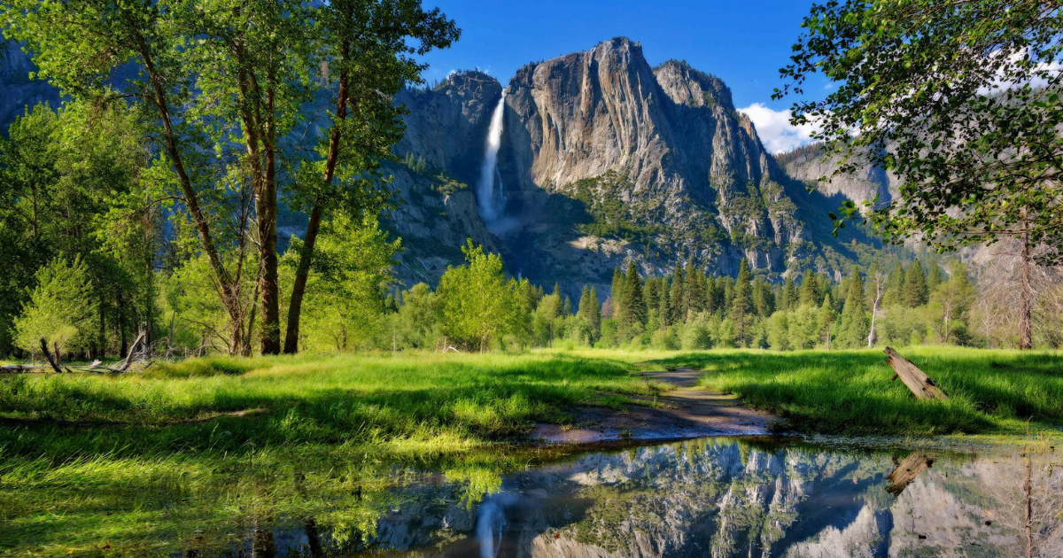 Yosemite National Park