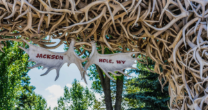 Jackson Hole