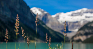 Lake Louise