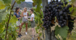 Tain-l’Hermitage, France