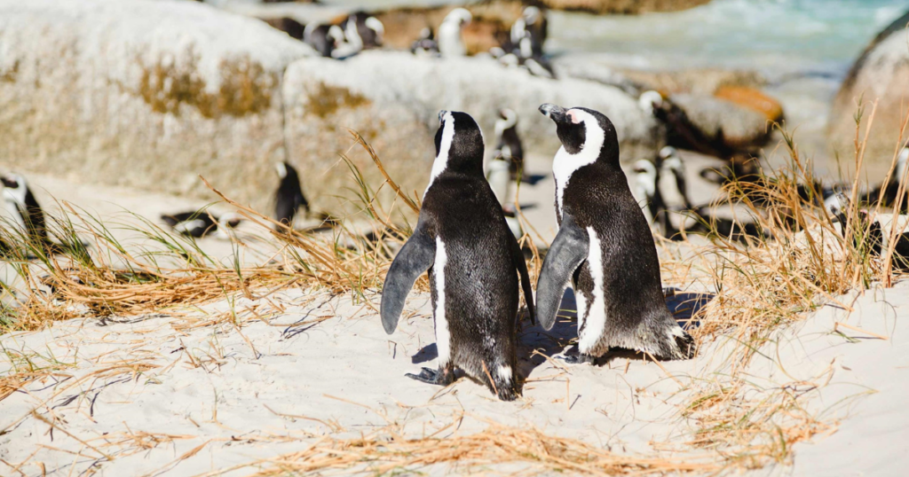 Cape Town, South Africa