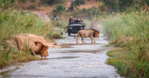 Karongwe Private Game Reserve