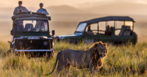 Samburu National Reserve