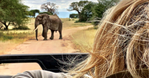 Tarangire National Park