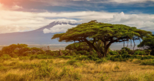 Mount Kilimanjaro Kenya