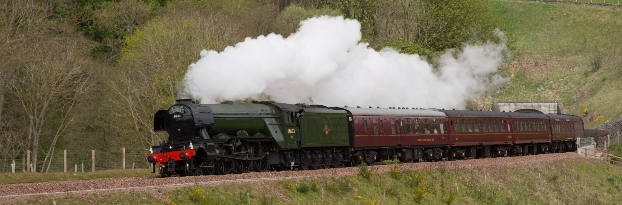 Flying Scotsman steam locomotive travelling through the Hampshire countryside during a Watercress Line heritage railway journey