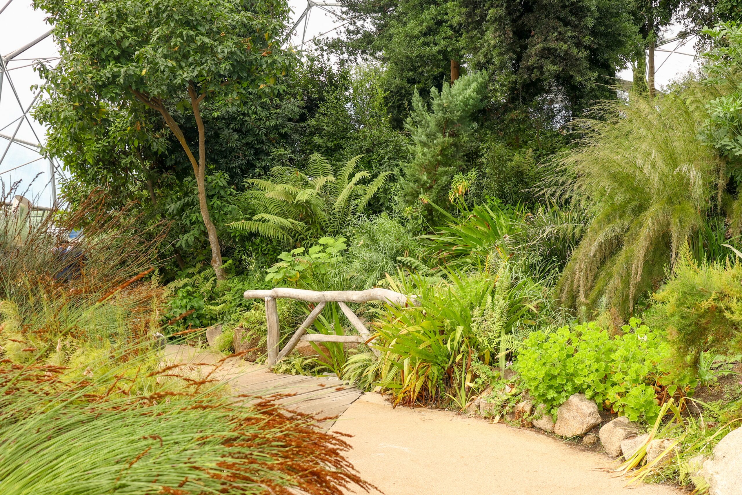 Garden path inside Eden Project biome with lush plants and landscaped greenery