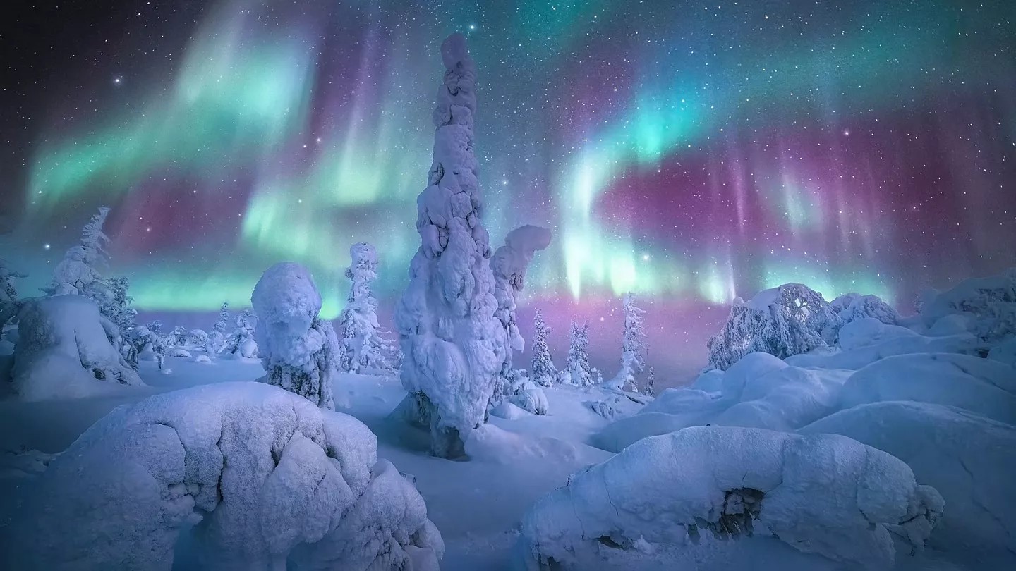 Northern Lights over snowy winter landscape with aurora borealis and frozen trees